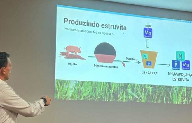Estruvita: Novo fertilizante nacional pode beneficiar agricultores