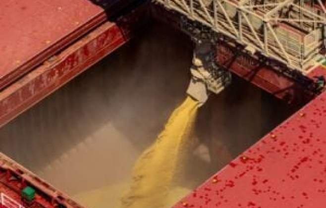 Anec Aumenta Previsões de Exportação de Soja e Farelo do Brasil