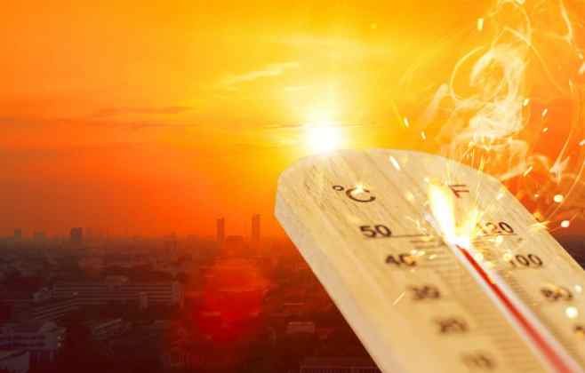 Calor extremo desafia limites de sobrevivência em Alagoas