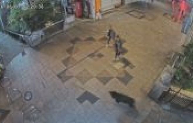 Urso que causou fechamento de escolas no Japão é capturado