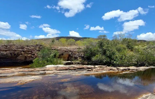 Desmatamento na Amazônia cai 61,4% em maio e impacta o Brasil