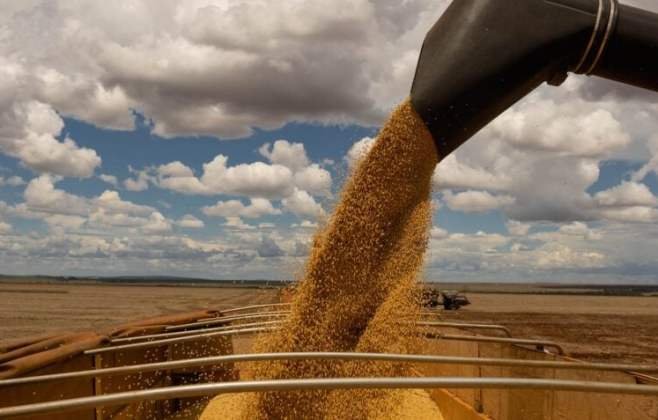 China realiza maior compra de soja dos EUA em 7 meses