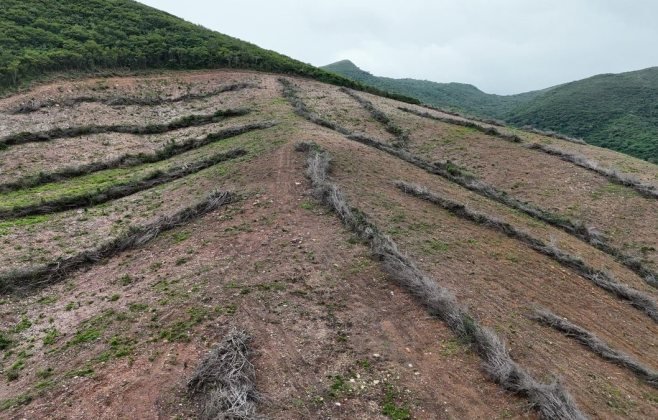 Preso homem acusado de devastar Caatinga em Alagoas com 800 hectares