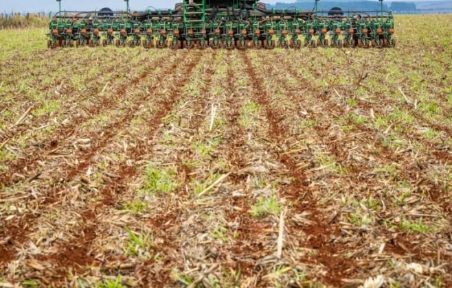 Agro em Alagoas pode gerar bilhões com créditos de carbono
