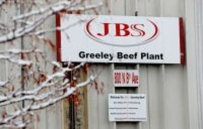 Wesley Batista Filho será novo CEO global da JBS em 2027 Wesley Batista Filho será novo CEO global da JBS em 2027