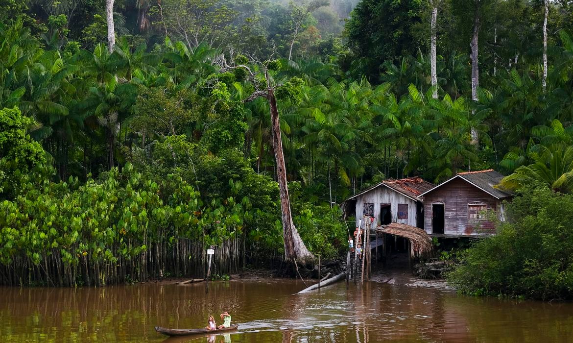 Iniciativa oferece tratamento gratuito para lobomicose no Amazonas