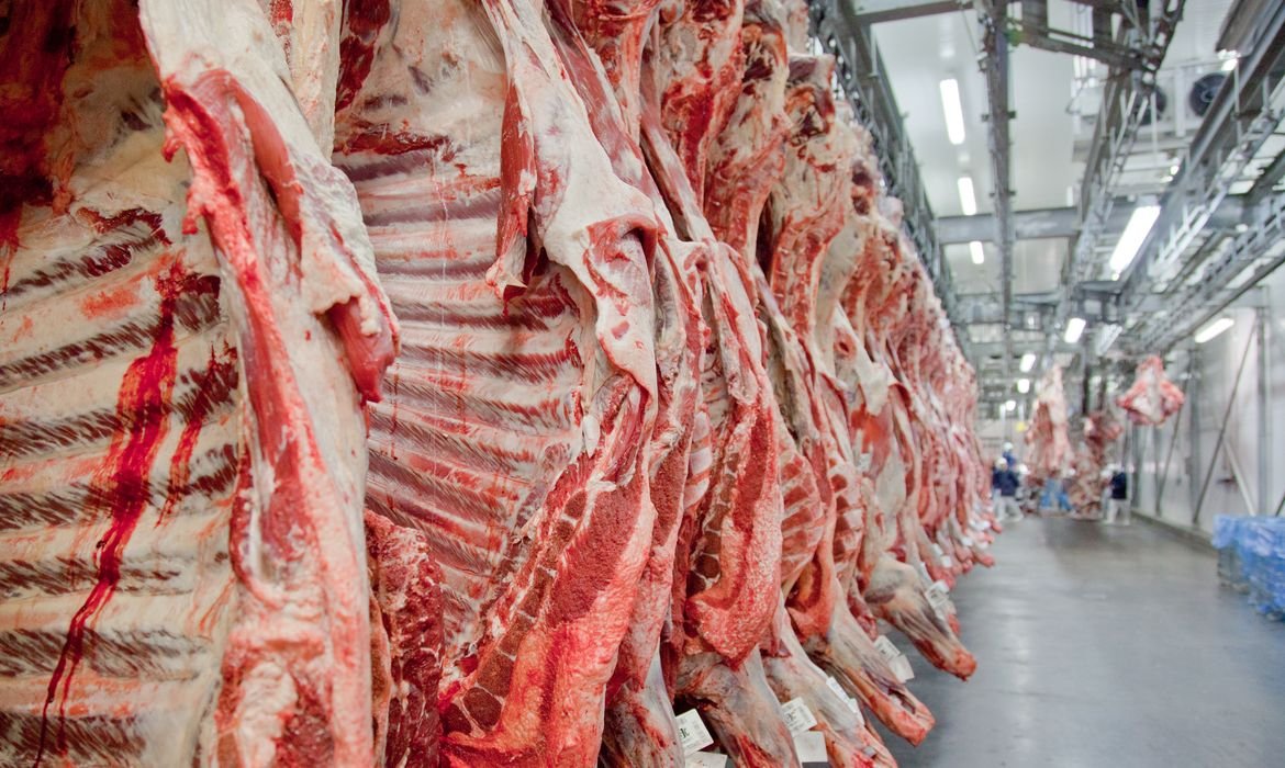 Governo brasileiro tenta reverter veto da União Europeia a carnes