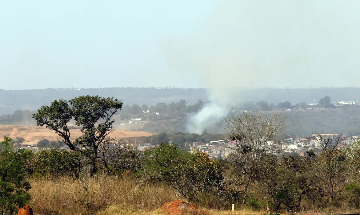 MMA inicia projeto para aumentar áreas verdes em pequenas cidades