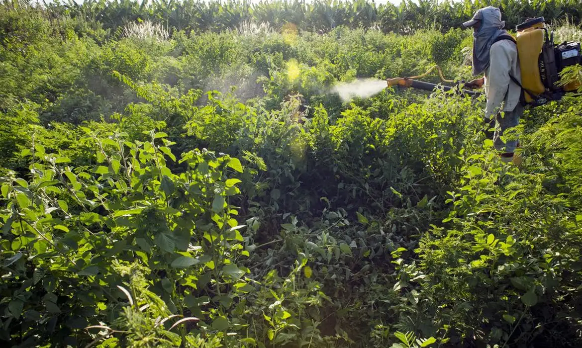 Governo inicia monitoramento de agrotóxicos em bacias hidrográficas