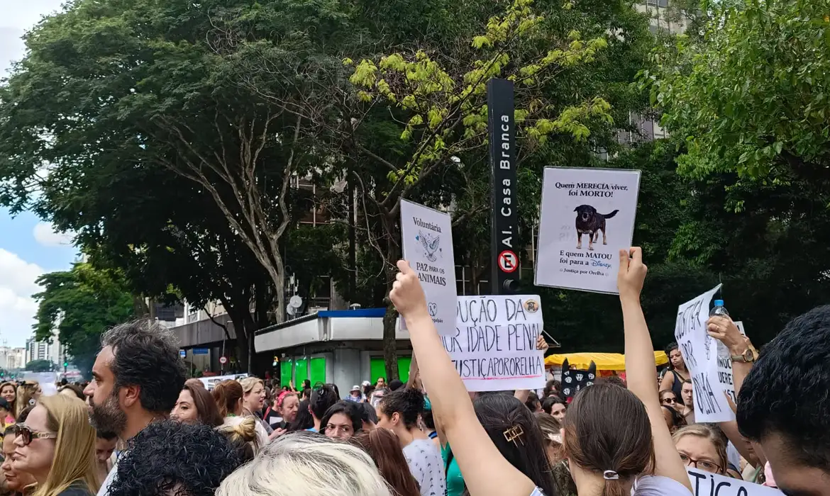 Arquivamento do caso Cão Orelha é confirmado pelo TJ-SC