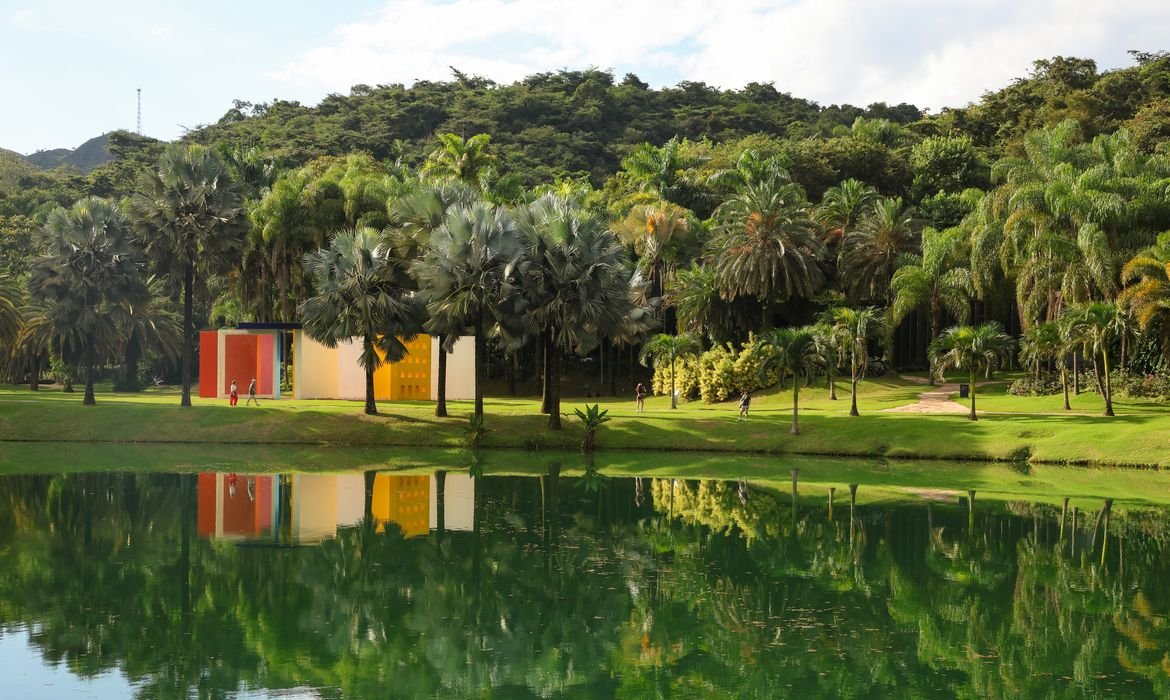 Inhotim anuncia novas exposições para celebrar 20 anos