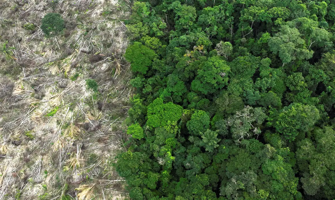 Cientista alerta sobre crise climática em evento no Rio de Janeiro