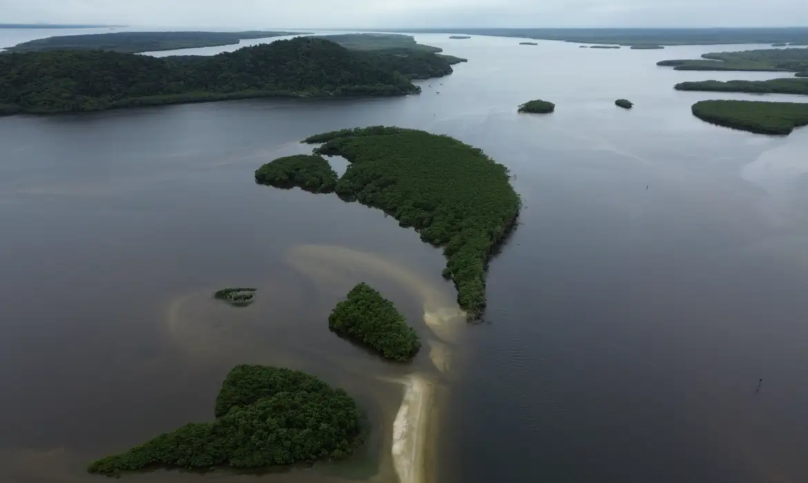 O papel do carbono azul na luta contra as mudanças climáticas