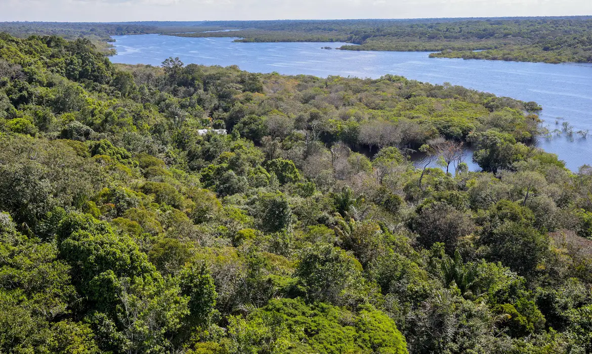 Aumento expressivo nas aprovações do Fundo Amazônia