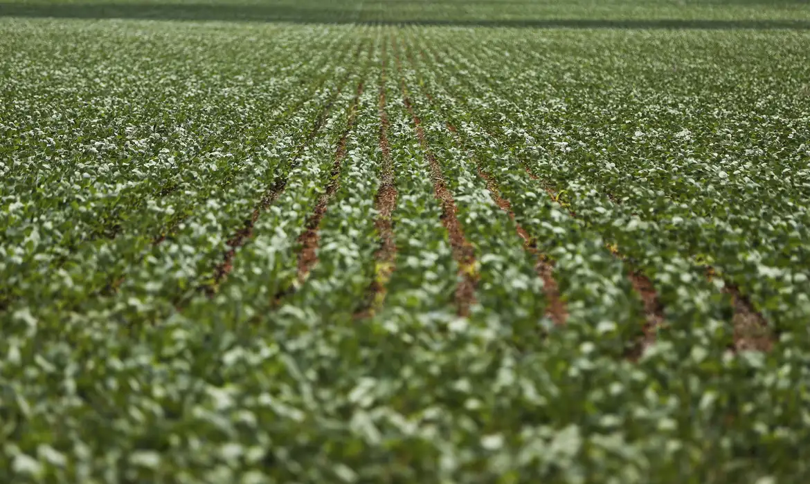 Negociações entre governo e agropecuária não avançam