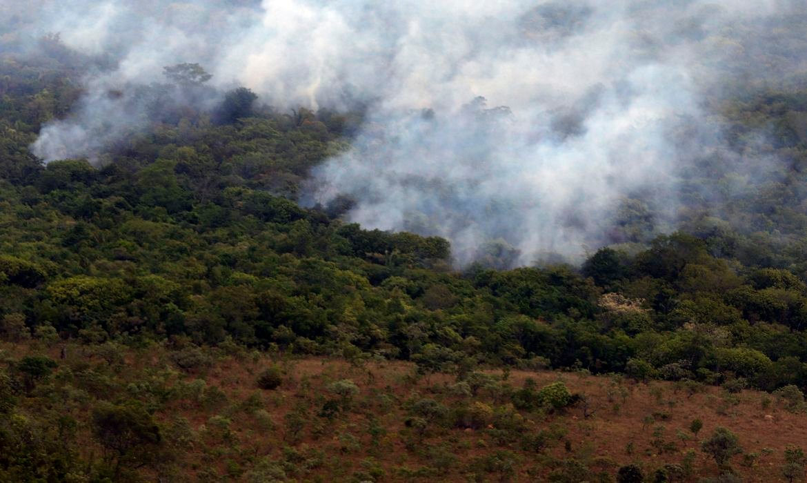 Menor emissão de gases por incêndios em 24 anos, aponta Copernicus