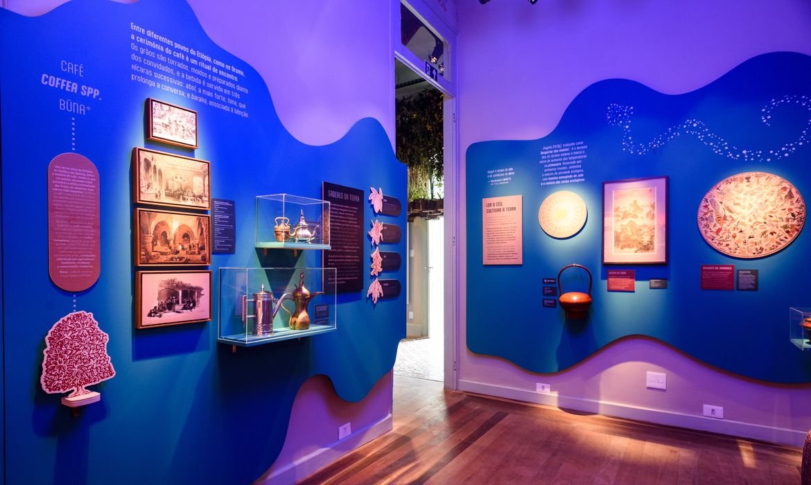 Rio de Janeiro recebe a exposição O Tempo das Plantas