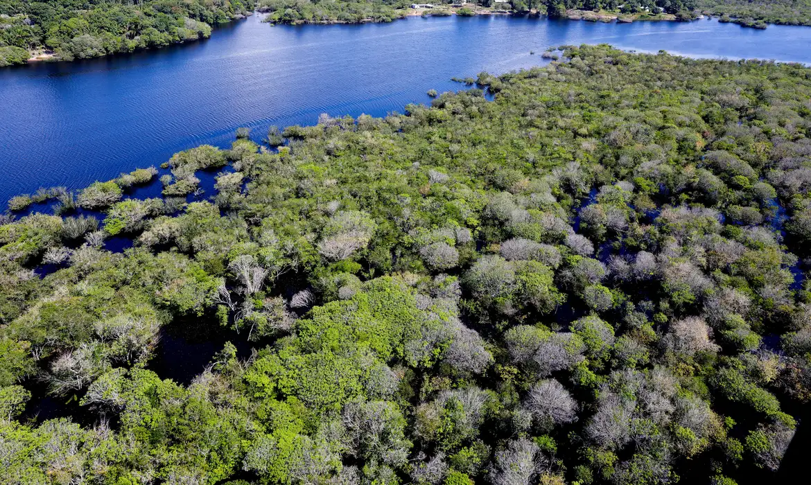 Desmatamento na Amazônia sofre queda de 35% em junho de 2026