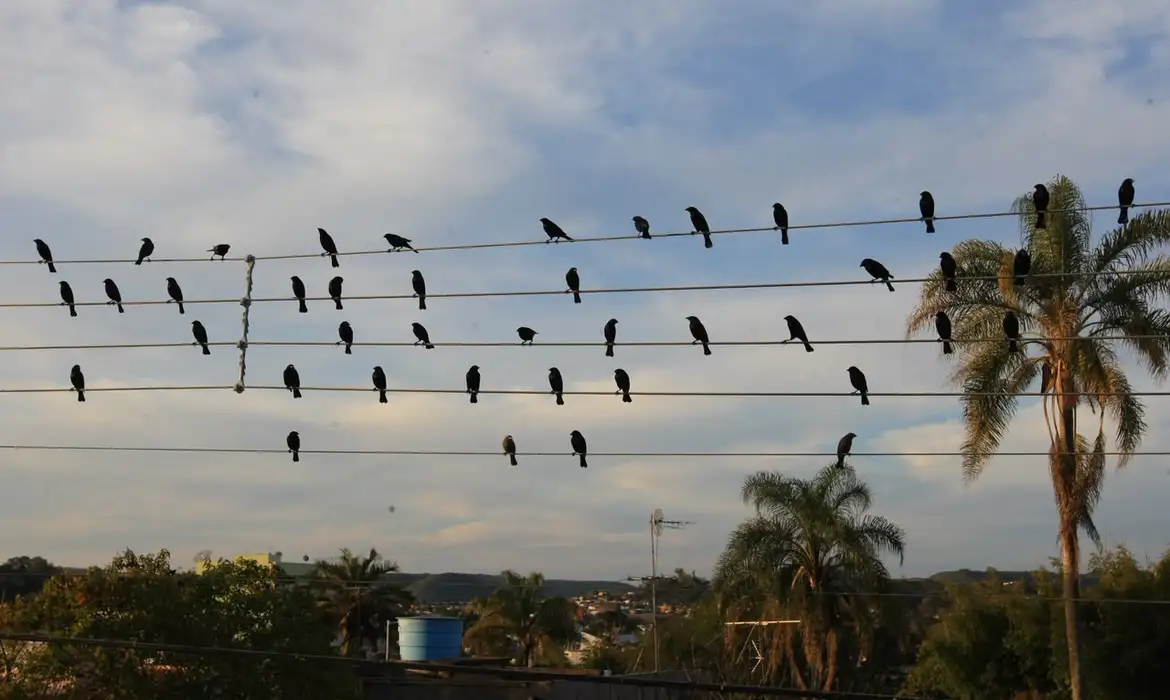 Imagem antiga se torna referência criativa e vence prêmio internacional