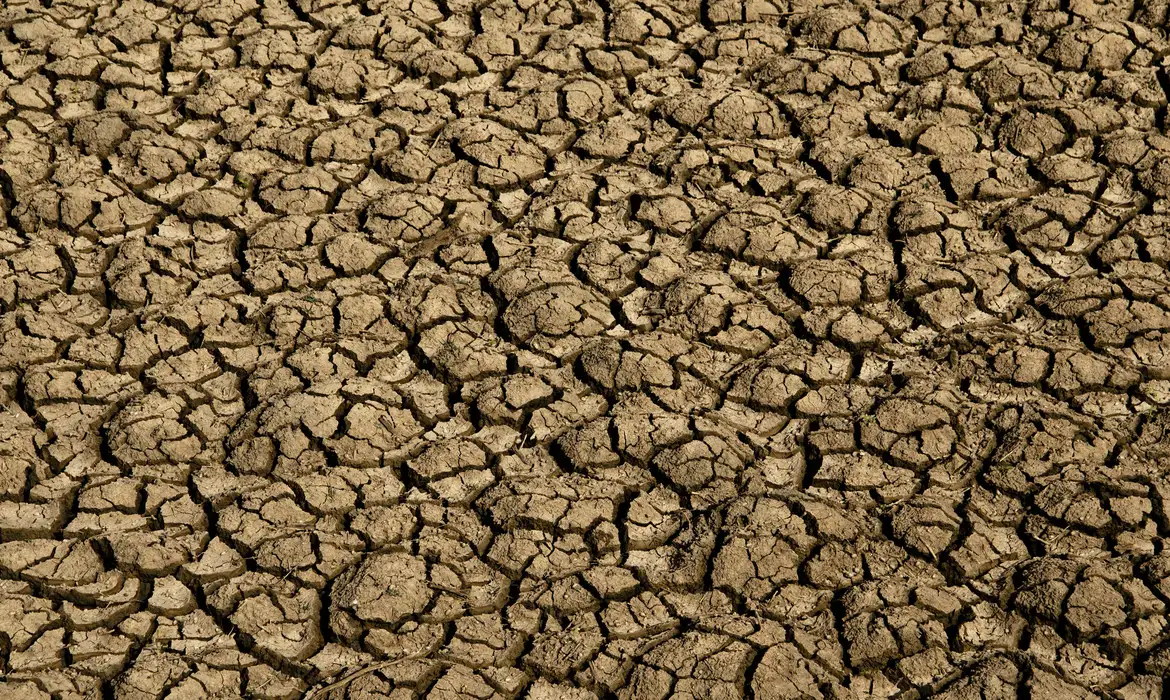 Desertificação avança no Brasil e compromete recursos hídricos