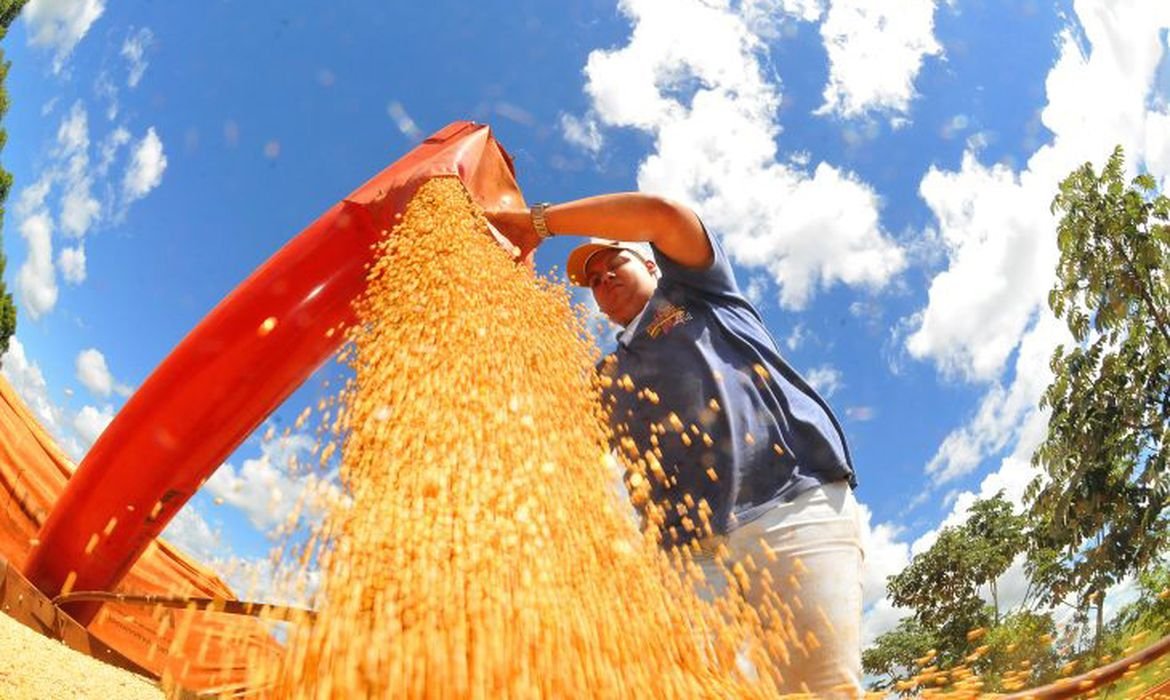 Queda de 0,6% no IBC-Br em junho aponta desaceleração econômica