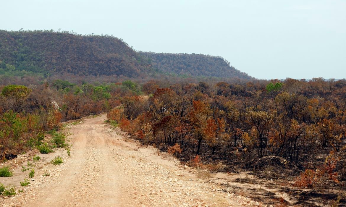 Redução da vegetação nativa e impacto do El Niño no Brasil