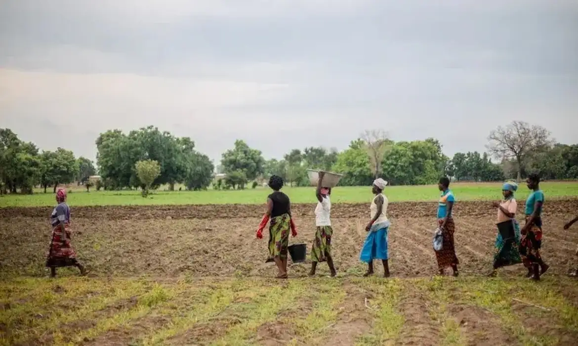 Iniciativa Verde restaura vastas áreas no Sahel africano