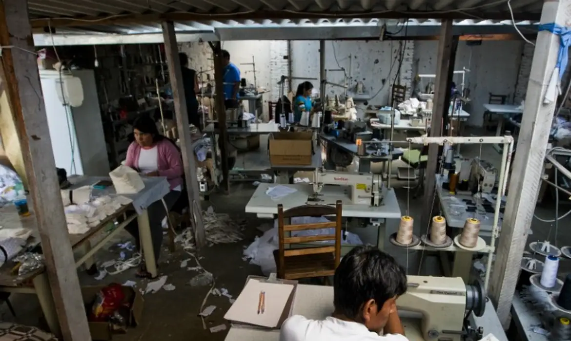 Minas Gerais resgata 5,6 mil vítimas de trabalho escravo em 13 anos